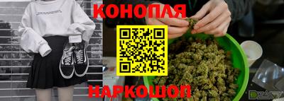 марихуана Новозыбков